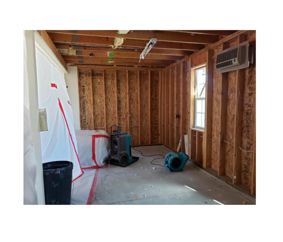 Mold Remediation on Long Island