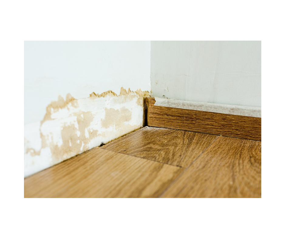 Water damage restoration